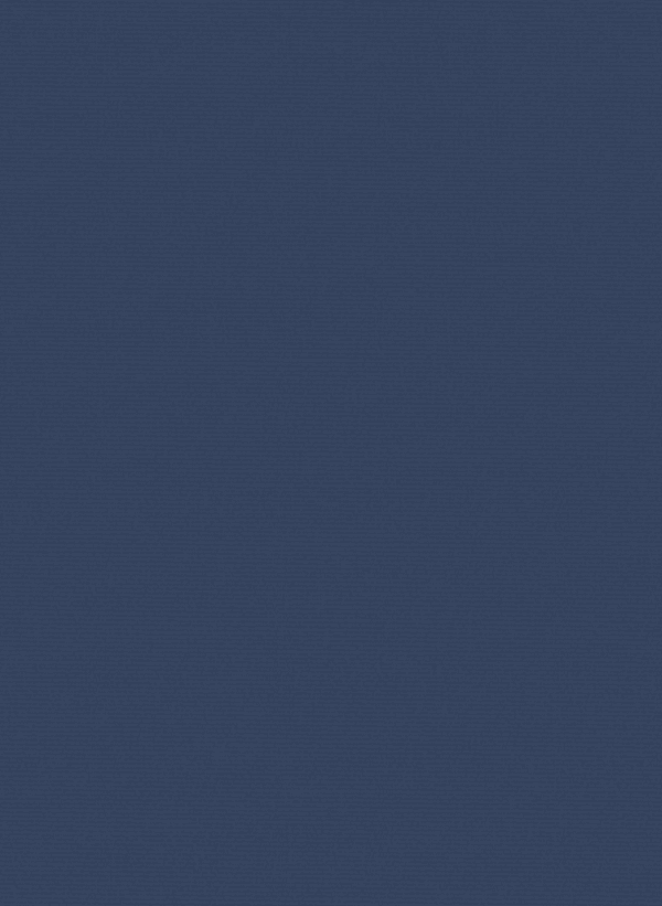 mild Navy